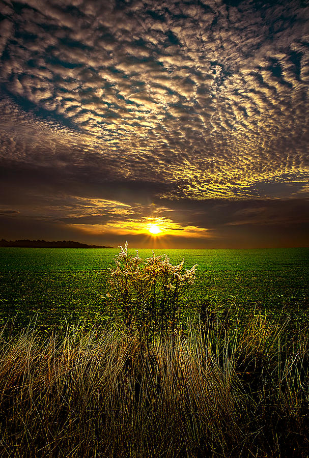 Landscape Photograph - On the Edge by Phil Koch
