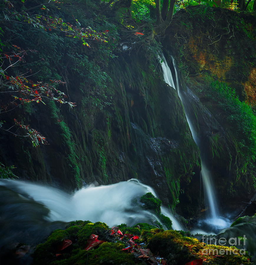 On The Edge by Wayne Stacy On The Edge by Wayne Stacy