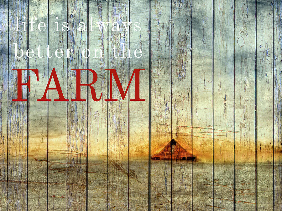 Farm Photograph - On The Farm I by Ynon Mabat