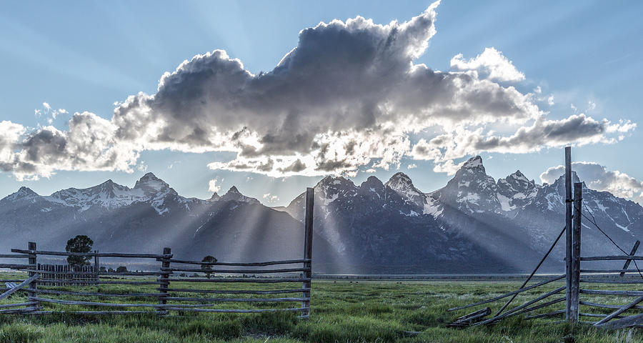 On The Fence Photograph by Jon Glaser