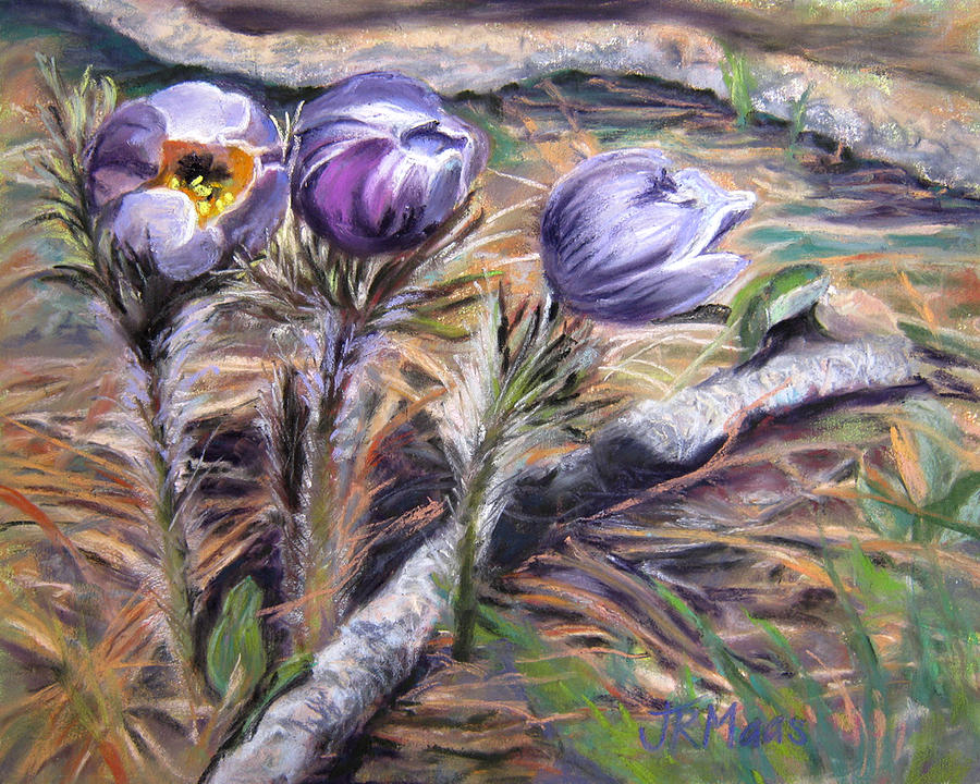 On The Forest Floor Pastel by Julie Maas