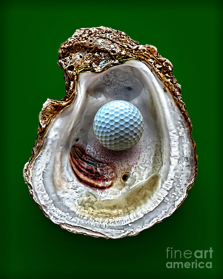 Golf Photograph - Hole In One by Walt Foegelle