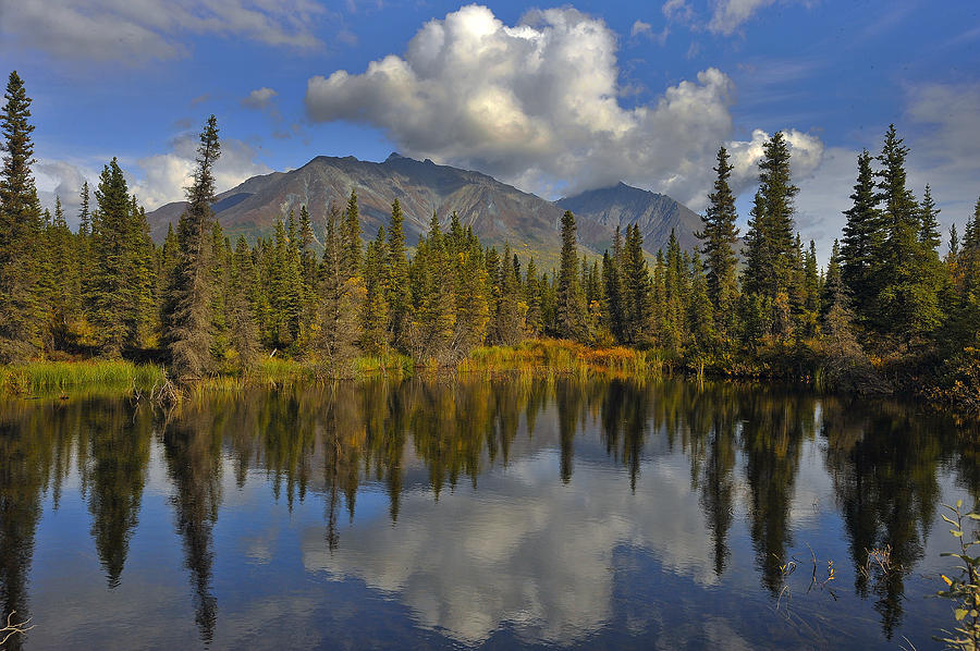 On The McCarthy Road St. Elias Range Alaska Photograph by David Marr