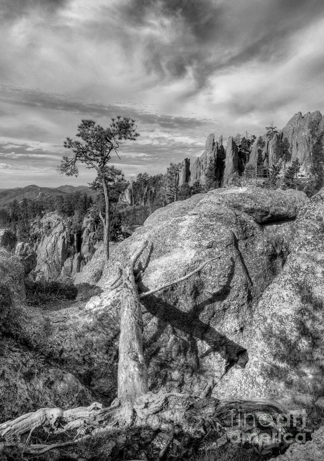 On The Needles Highway 2 BW Photograph by Mel Steinhauer