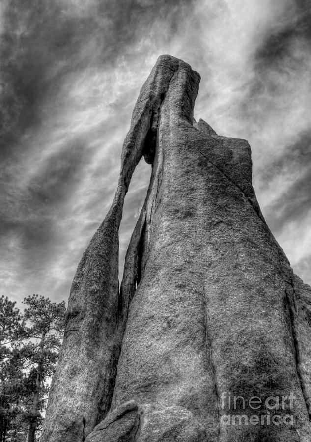 On The Needles Highway 3 BW Photograph by Mel Steinhauer