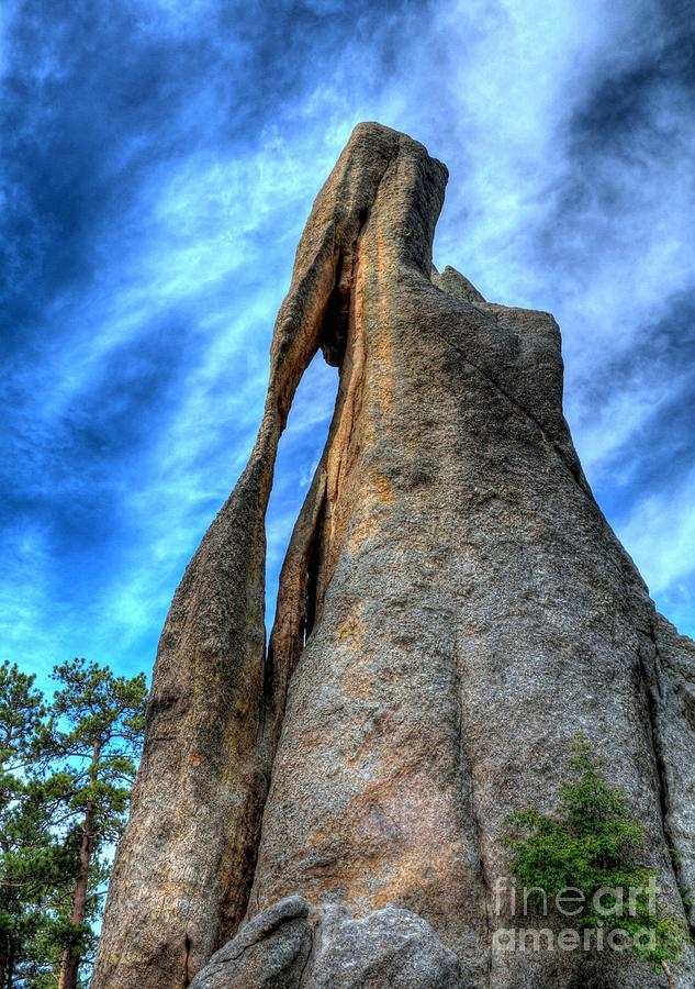 On The Needles Highway 3 Photograph by Mel Steinhauer
