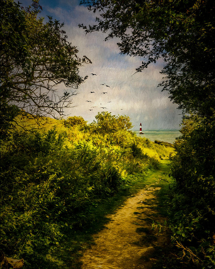 On The Path To The Sea Photograph by Chris Lord