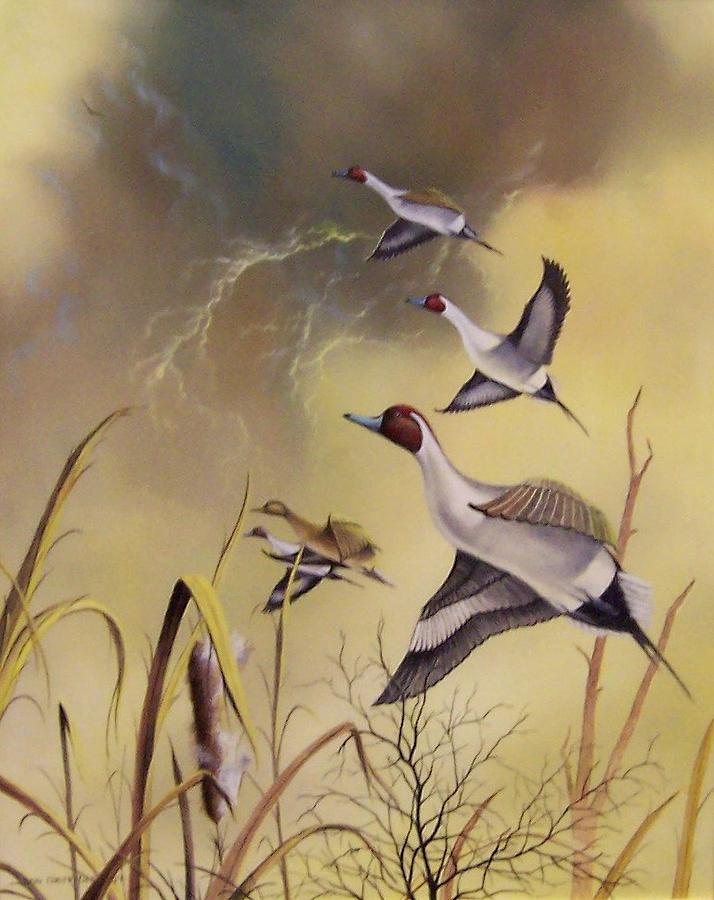 Bird Painting - On the rise by Don Griffiths