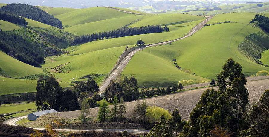 On the road in New Zealand Photograph by Ng Hock How