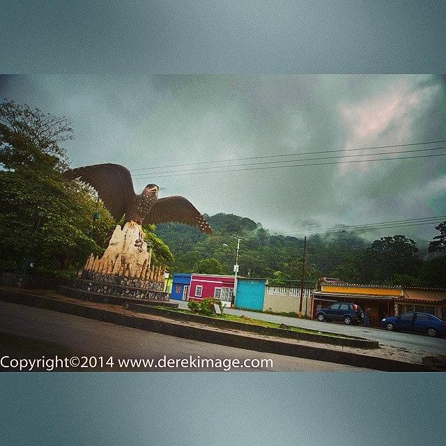 Eagle Photograph - On The Road In Venezuela Near Caripe by Derek Kouyoumjian