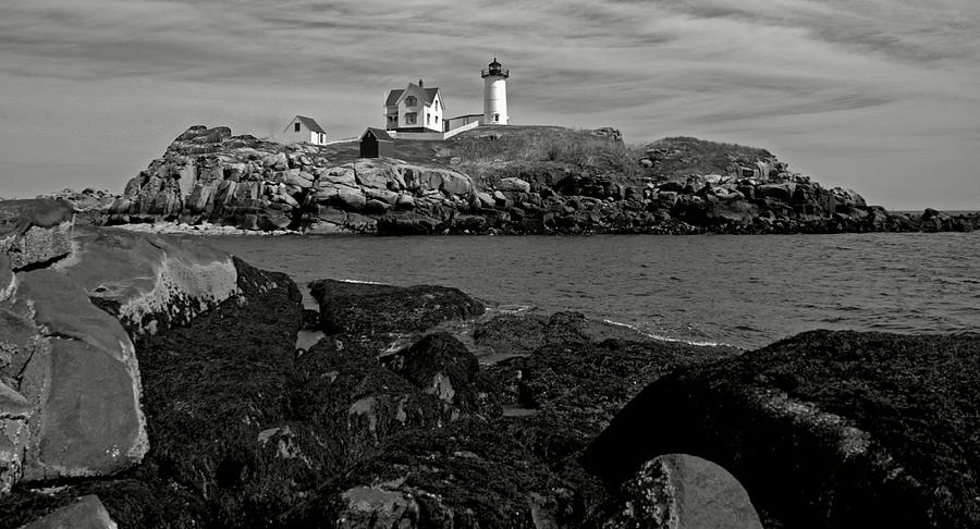 On the Rocks in Maine Photograph by Caroline Stella