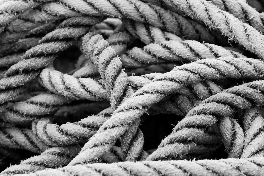 Rope Photograph - On the Ropes 2 by Paul Huchton