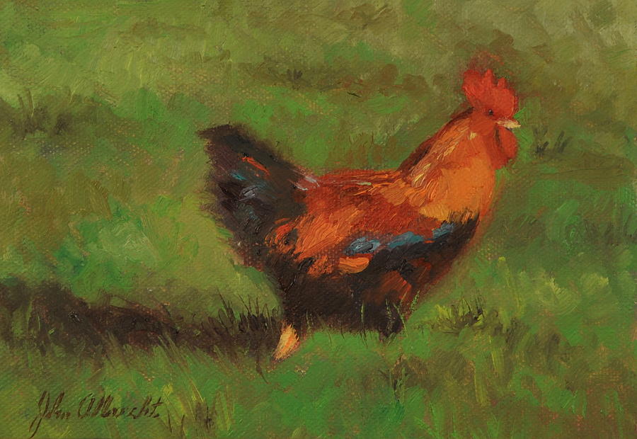 Rooster Painting - On the Run by John Albrecht