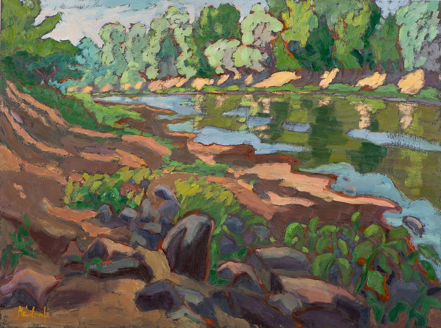 On The Shady Side Of River Koros 2012 Oil On Board Photograph by Marta Martonfi-Benke