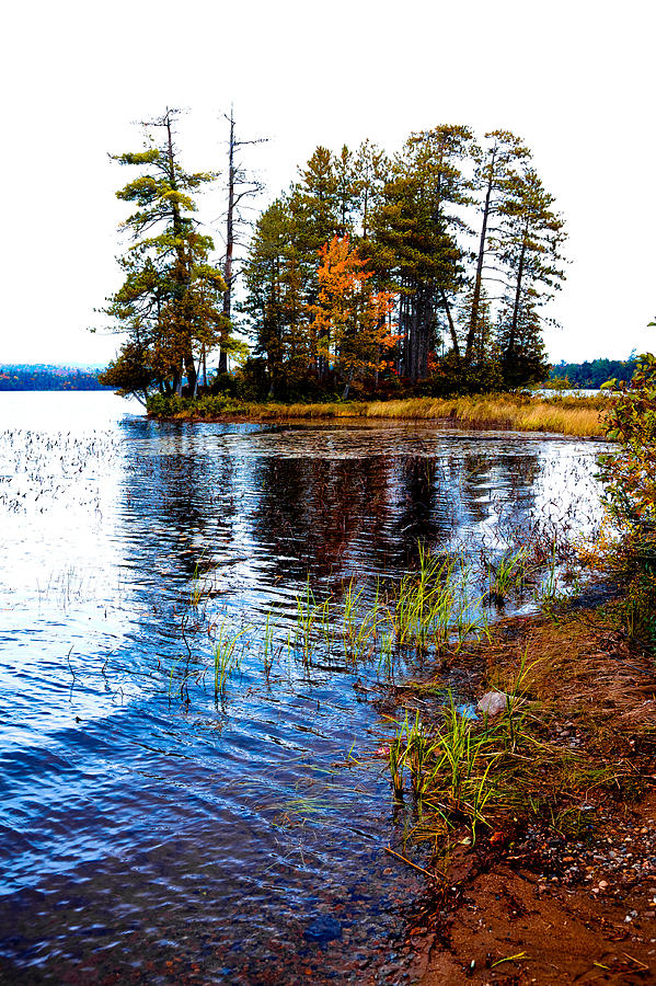 Fall Photograph - On the Shore of Raquette Lake by David Patterson