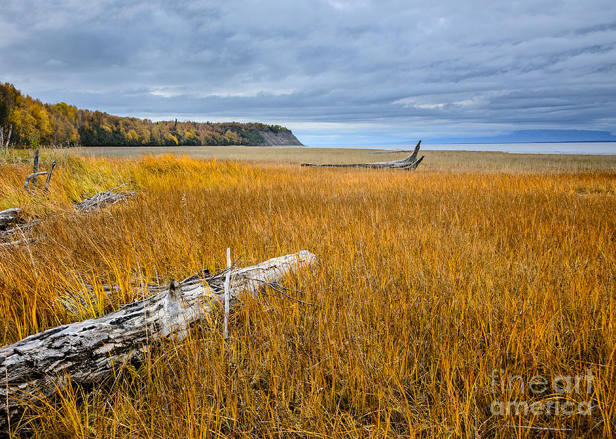 Landscape Photograph - On the Shore of Turnagain Arm by Susan Serna