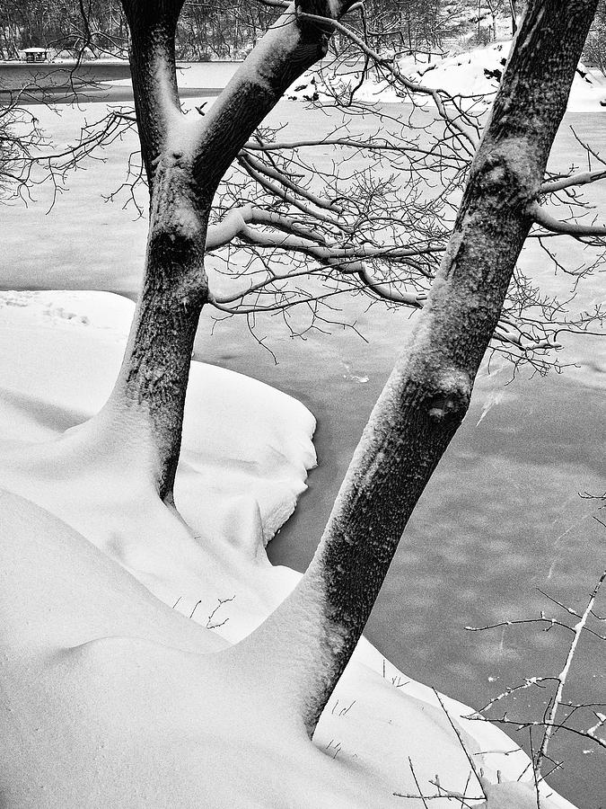 On The Snowy Banks Of The Lake Photograph by Cornelis Verwaal