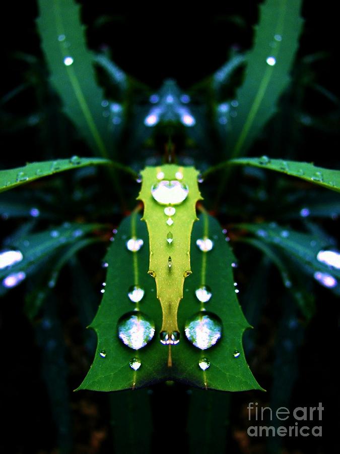 Nature Digital Art - On the Tongue by Lorles Lifestyles Nature Digital Art - On the Tongue by Lorles Lifestyles