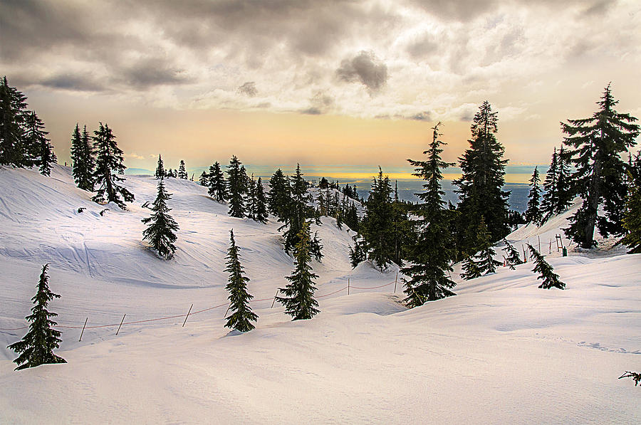 Winter Photograph - on the top of Mount Seymour by Tony Zhao