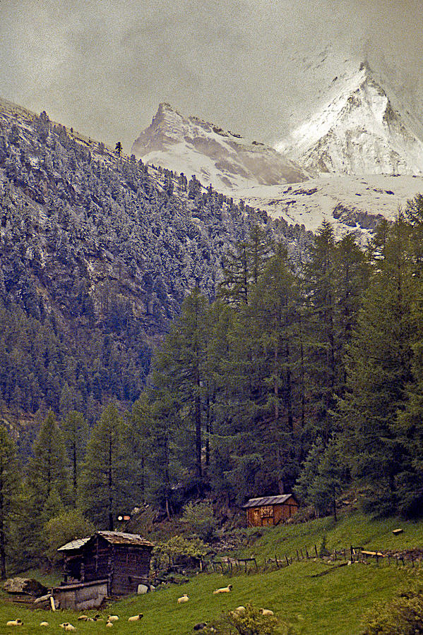 On the Train to Zermatt #2 Photograph by Stuart Litoff