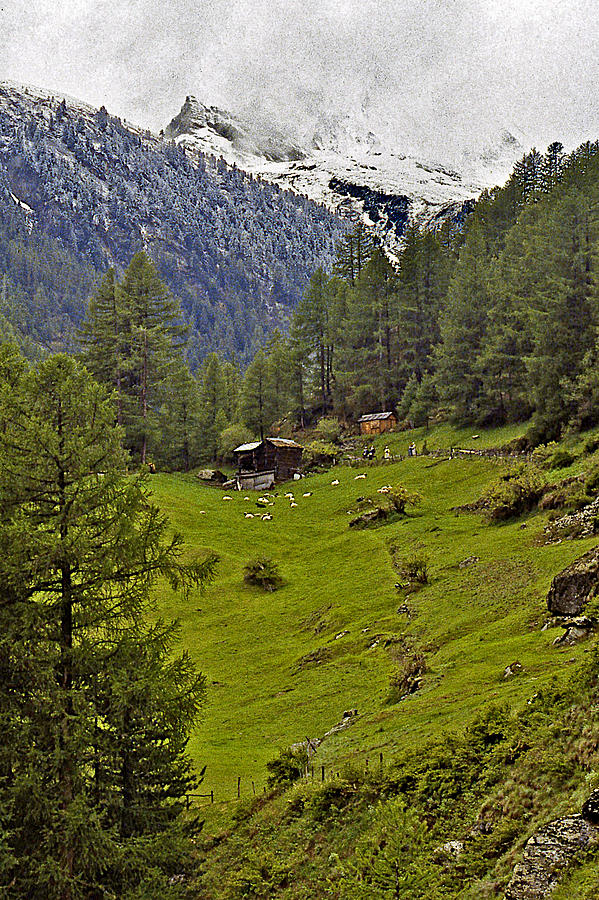 On the Train to Zermatt Photograph by Stuart Litoff