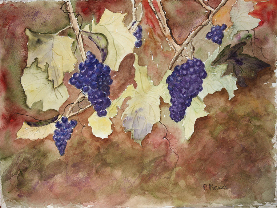 Grapes Painting - On The Vine by Patricia Novack Grapes Painting - On The Vine by Patricia Novack