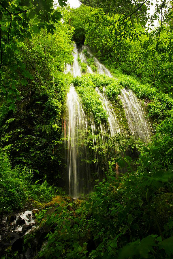 Waterfall Photograph - On The Wahkeena Trail by Jeff Swan