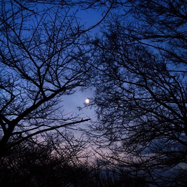 Nature Photograph - On The Way Home.#moon #instagram by Saito Hironobu