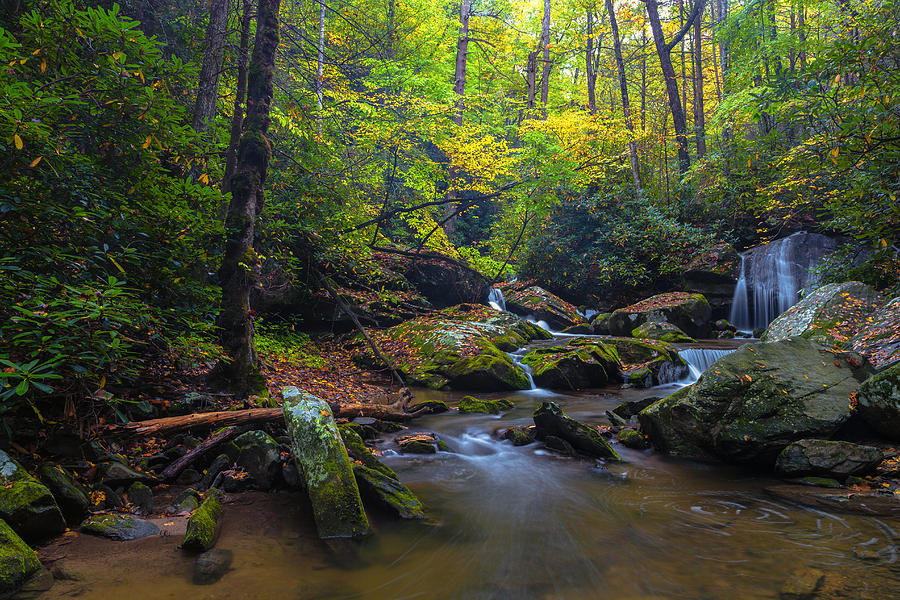 Fall Photograph - On the way to Catawba Falls by Andres Leon