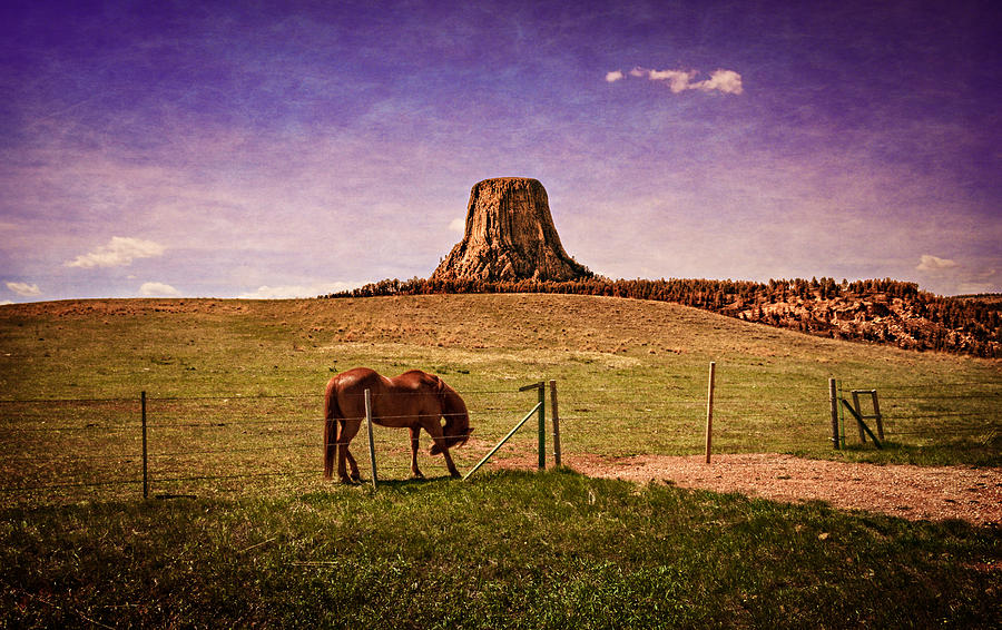 The Spirit of Wyoming Photograph by WyoGal Photography