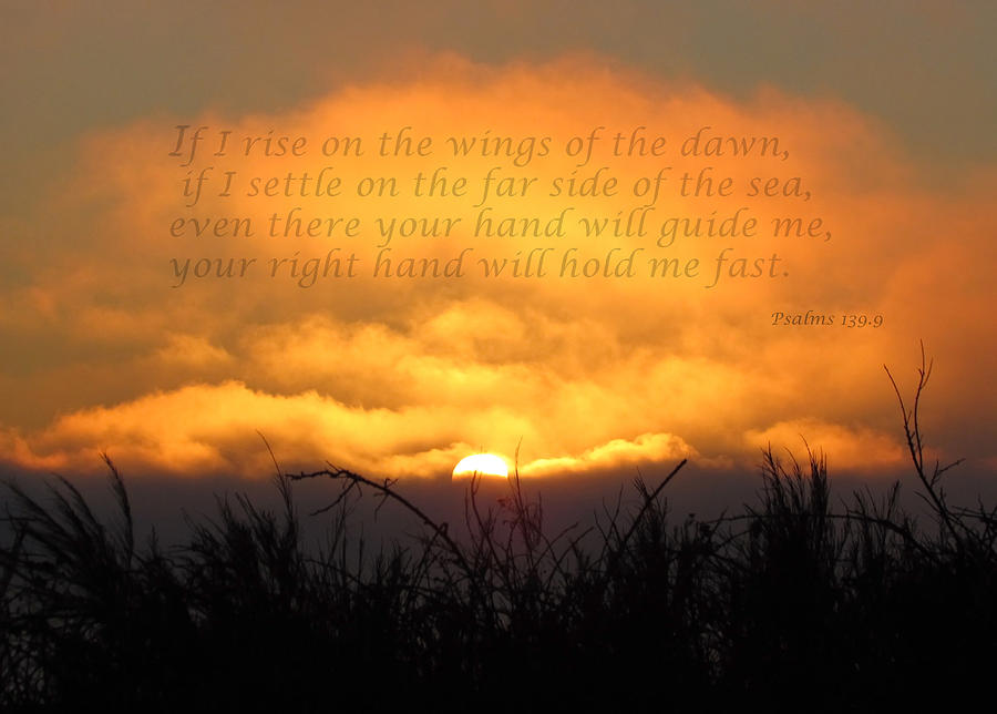 Inspirational Photograph - On the Wings of the Dawn by Angie Vogel