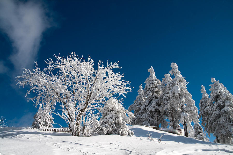 Winter Photograph - on the Wurmberg III by Andreas Levi