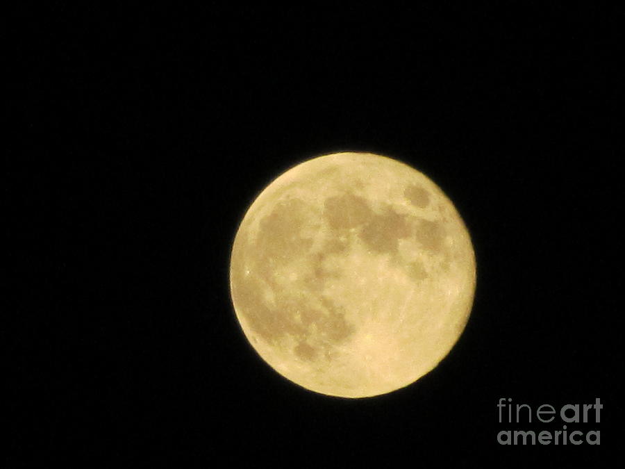 Nature Photograph - On This Harvest Moon by Susan Carella