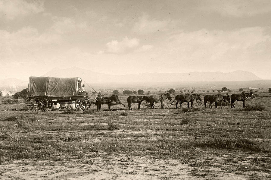 On Treck Photograph by Duncan1890