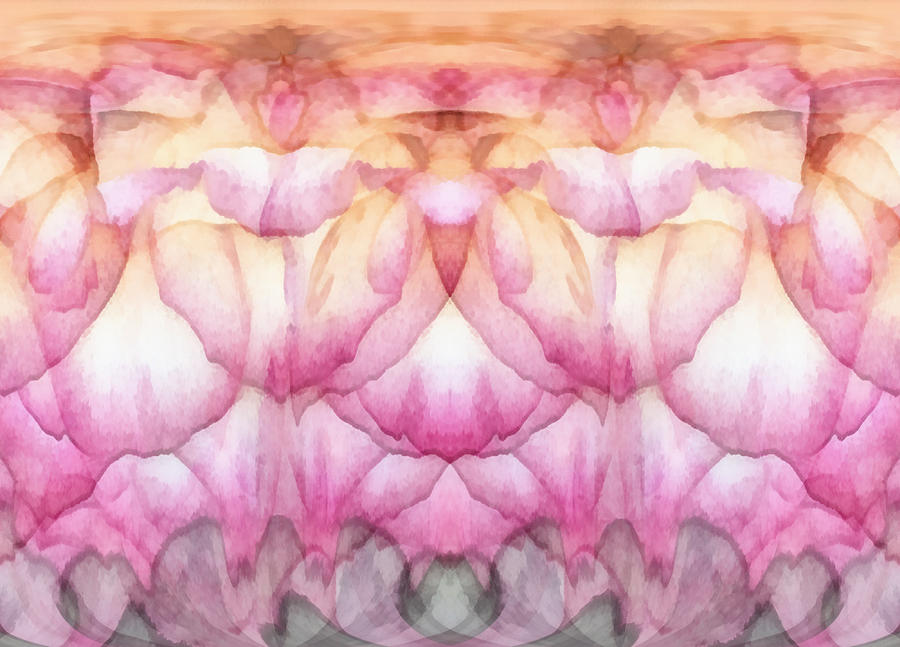 Once A Rose Digital Art by Wendy J St Christopher
