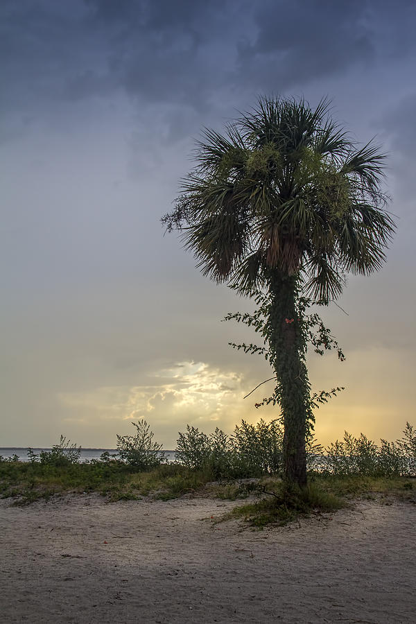 Sunset Photograph - Once Upon A Rainy Day by Marvin Spates