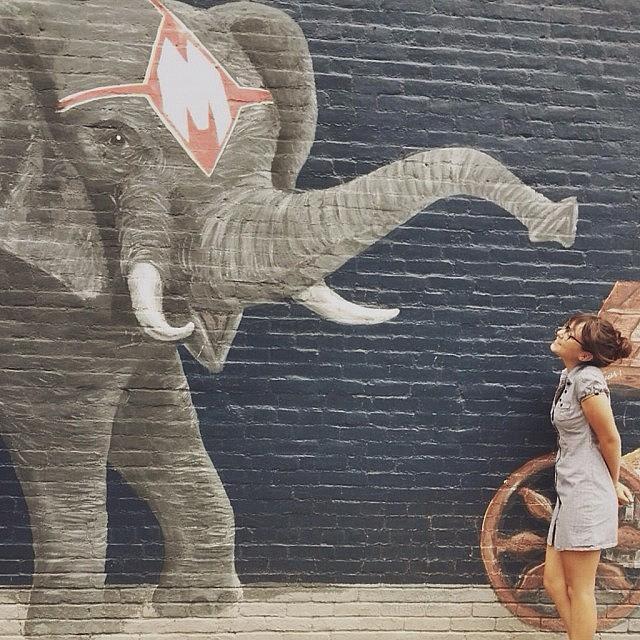 Once Upon A Time An Elephant Named Photograph by Cassie Davis