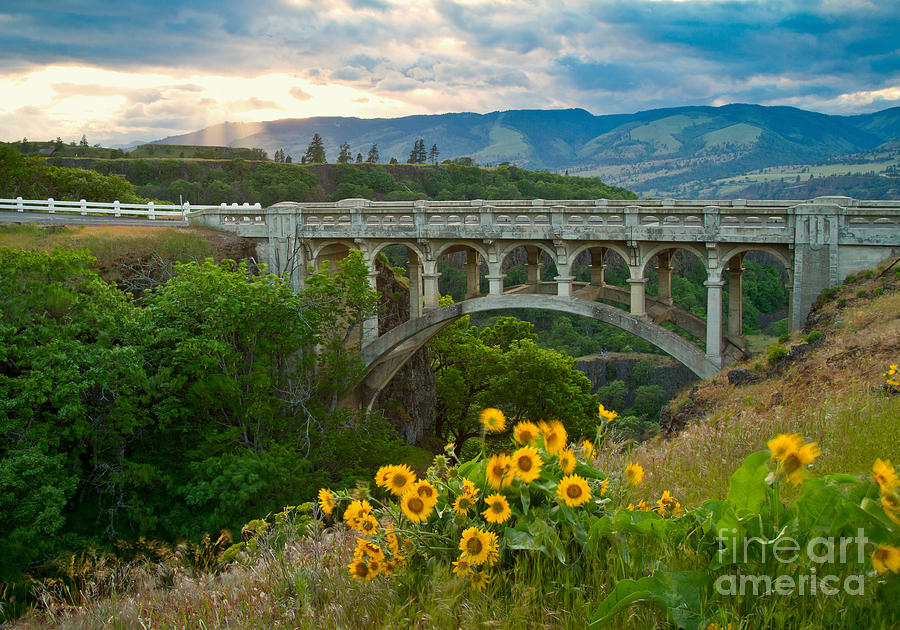 Once Upon a Time Photograph by Idaho Scenic Images Linda Lantzy