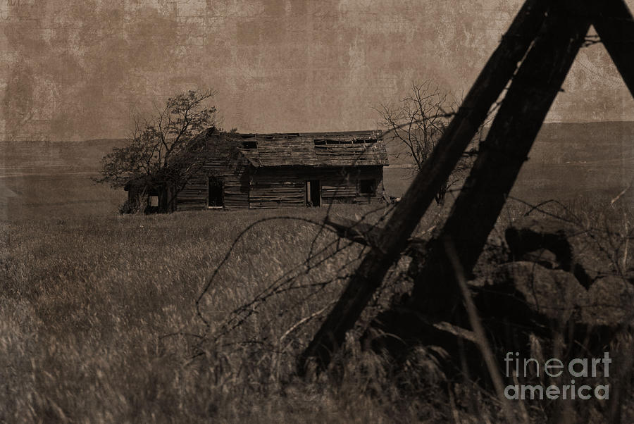 Once Was Home Sepia Photograph by Sharon Elliott