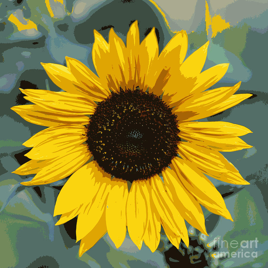 One Bright Sunflower - Digital Art Photograph by Carol Groenen