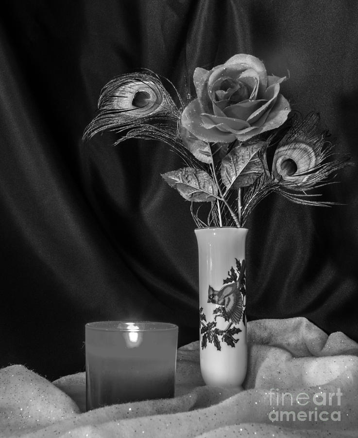One Christmas Rose In Black And White Photograph by Donna Brown