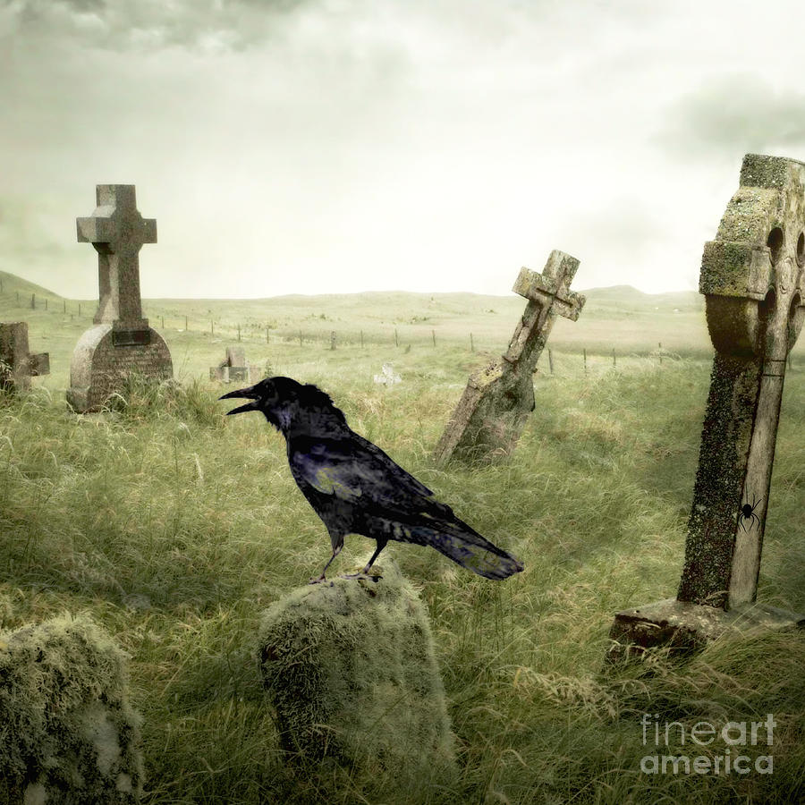 One Crow Digital Art by Mindy Bench