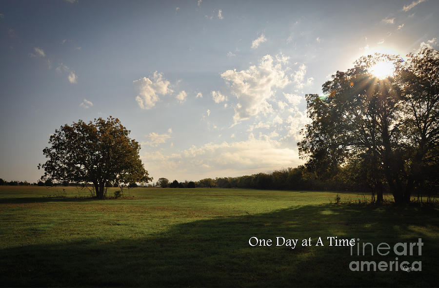 One Day at a Time Photograph by Cheryl McClure