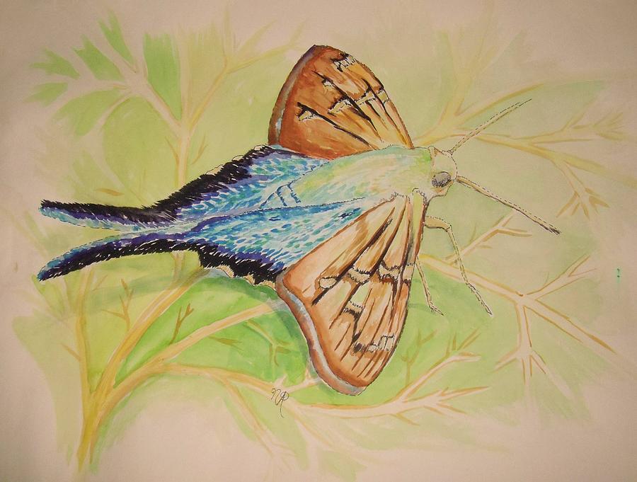 One Day in a Long-tailed Skipper Moths life Painting by Nicole Angell