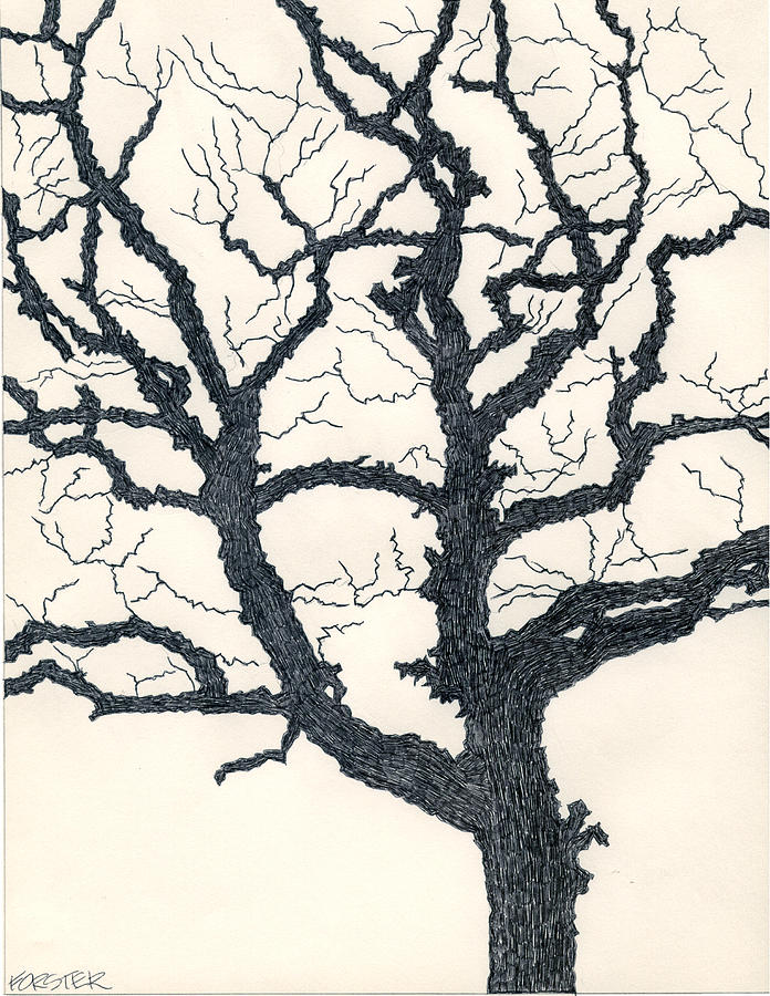 One Dead Tree Drawing by Eric Forster