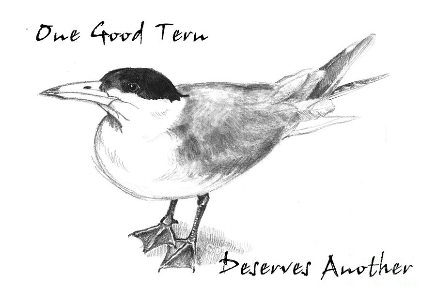 One Good Tern Drawing by Pat Oldham