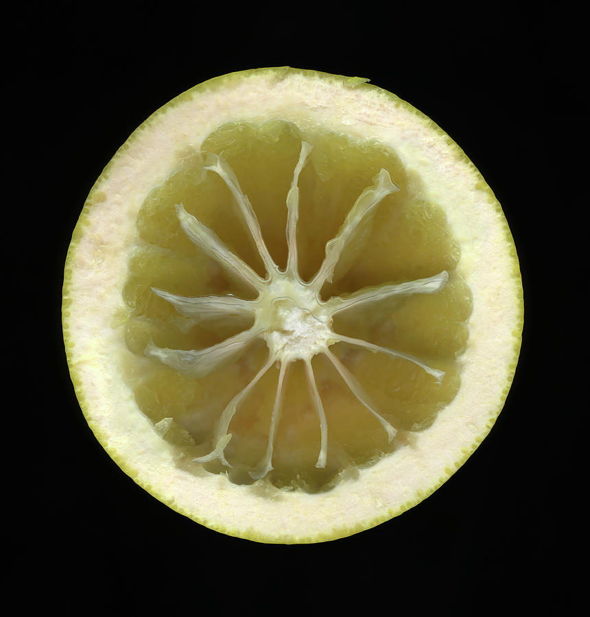 One Half Of An Eaten Grapefruit Photograph by Thomas J Peterson