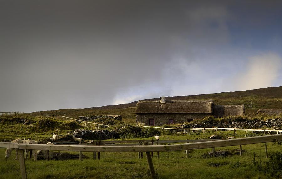 One Horse Farm - Ireland Photograph by Nadalyn Larsen