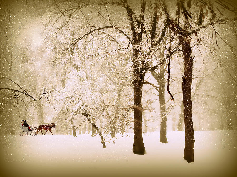 Winter Photograph - One Horse Open Sleigh by Jessica Jenney