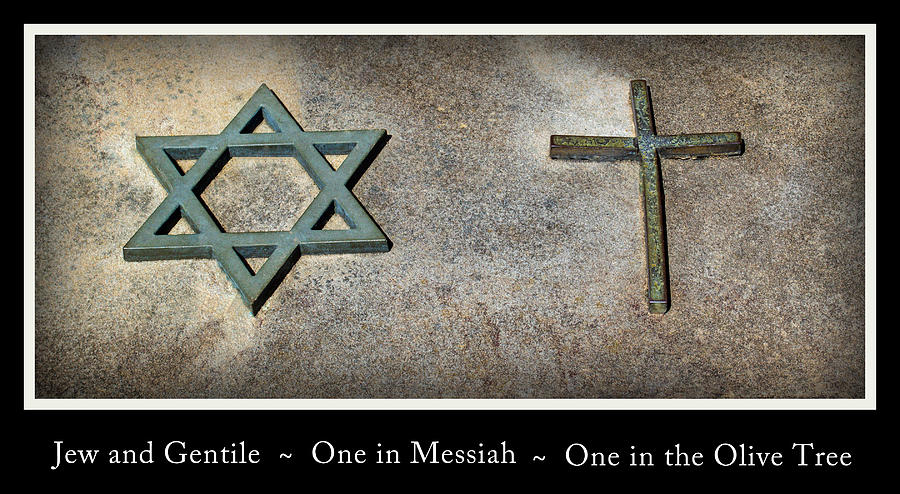 One in Messiah Photograph by Tikvahs Hope